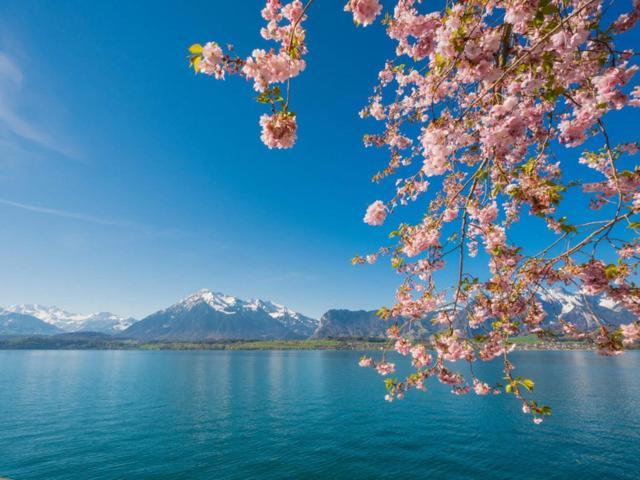 Schoene Ferienwohnung Mit Seeblick トゥーン エクステリア 写真